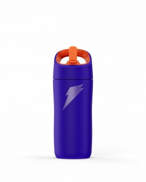 Gatorade Rookie Stainless Steel Water Bottle 12oz Purple | IK0138752